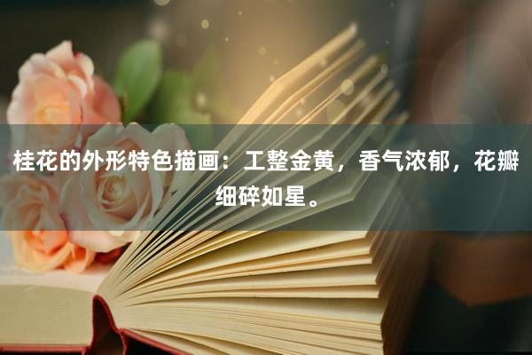 桂花的外形特色描画：工整金黄，香气浓郁，花瓣细碎如星。