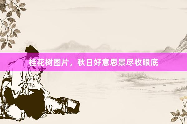 桂花树图片，秋日好意思景尽收眼底